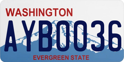 WA license plate AYB0036