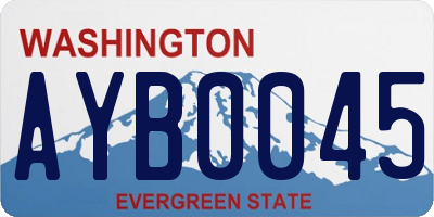 WA license plate AYB0045