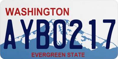 WA license plate AYB0217