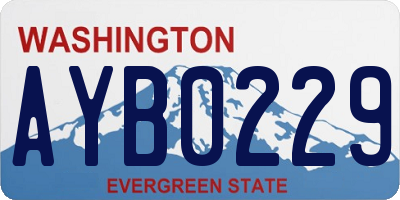 WA license plate AYB0229