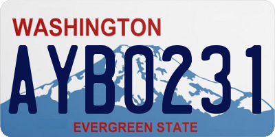 WA license plate AYB0231