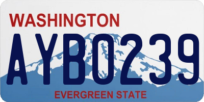 WA license plate AYB0239