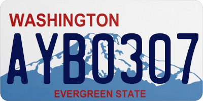 WA license plate AYB0307