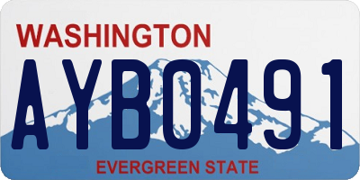 WA license plate AYB0491