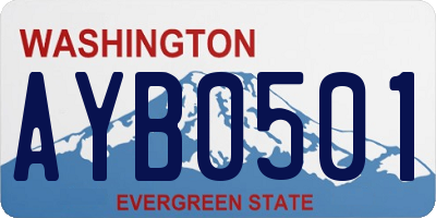 WA license plate AYB0501