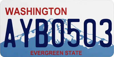 WA license plate AYB0503
