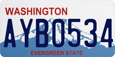 WA license plate AYB0534