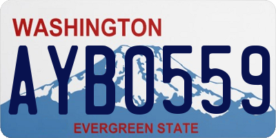 WA license plate AYB0559