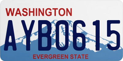 WA license plate AYB0615