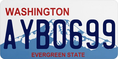 WA license plate AYB0699