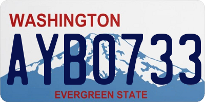 WA license plate AYB0733