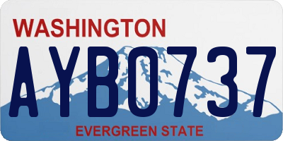 WA license plate AYB0737