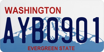 WA license plate AYB0901
