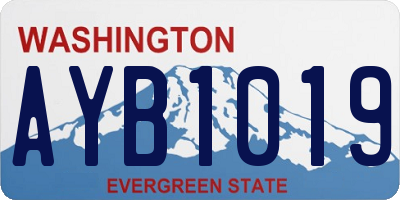 WA license plate AYB1019