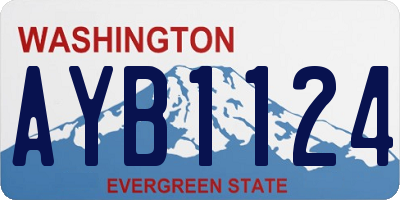 WA license plate AYB1124