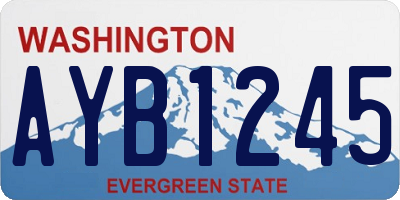 WA license plate AYB1245