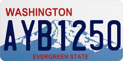 WA license plate AYB1250