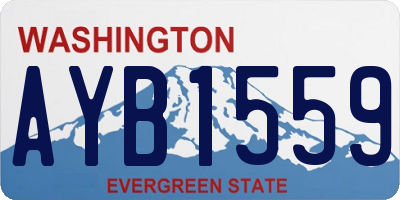WA license plate AYB1559
