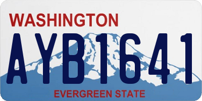 WA license plate AYB1641
