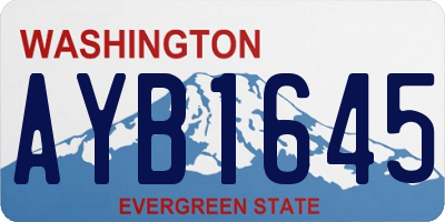 WA license plate AYB1645