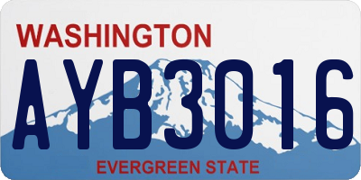 WA license plate AYB3016