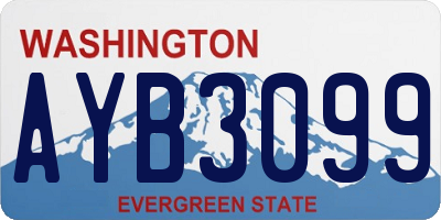 WA license plate AYB3099