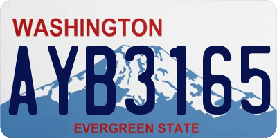 WA license plate AYB3165
