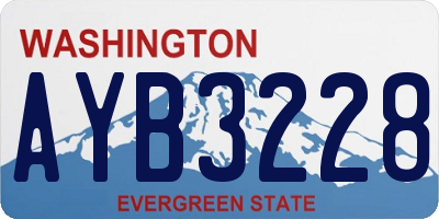 WA license plate AYB3228