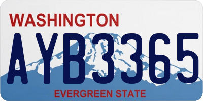 WA license plate AYB3365