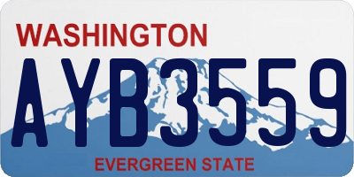 WA license plate AYB3559