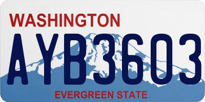 WA license plate AYB3603