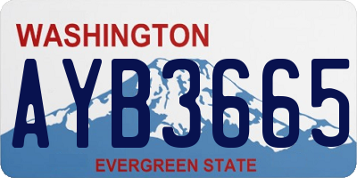 WA license plate AYB3665