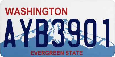 WA license plate AYB3901