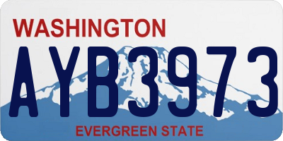 WA license plate AYB3973
