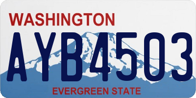 WA license plate AYB4503