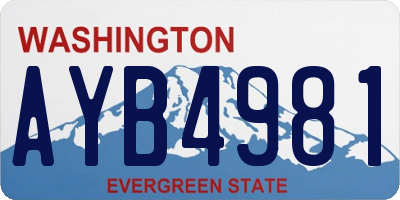 WA license plate AYB4981