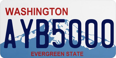 WA license plate AYB5000
