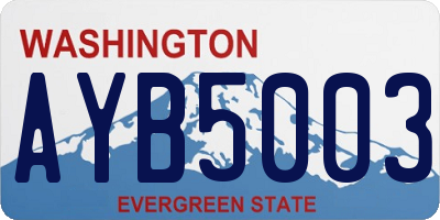 WA license plate AYB5003