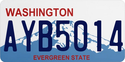 WA license plate AYB5014