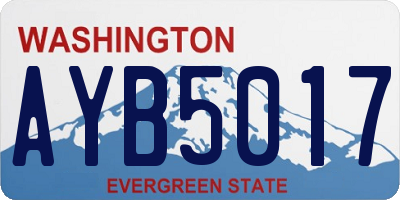 WA license plate AYB5017