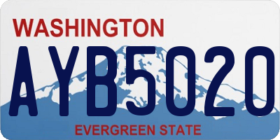 WA license plate AYB5020