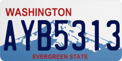WA license plate AYB5313