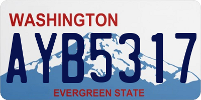 WA license plate AYB5317