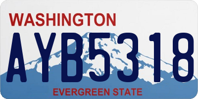 WA license plate AYB5318