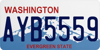 WA license plate AYB5559