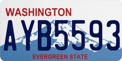 WA license plate AYB5593