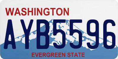 WA license plate AYB5596