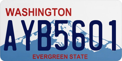WA license plate AYB5601