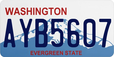 WA license plate AYB5607