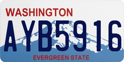 WA license plate AYB5916